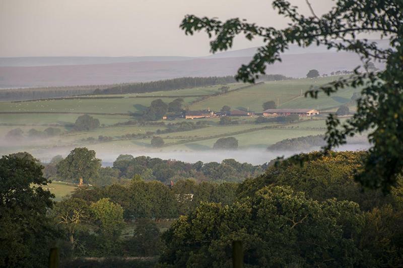 Bessiestown Country Guesthouse Carlisle  Eksteriør bilde